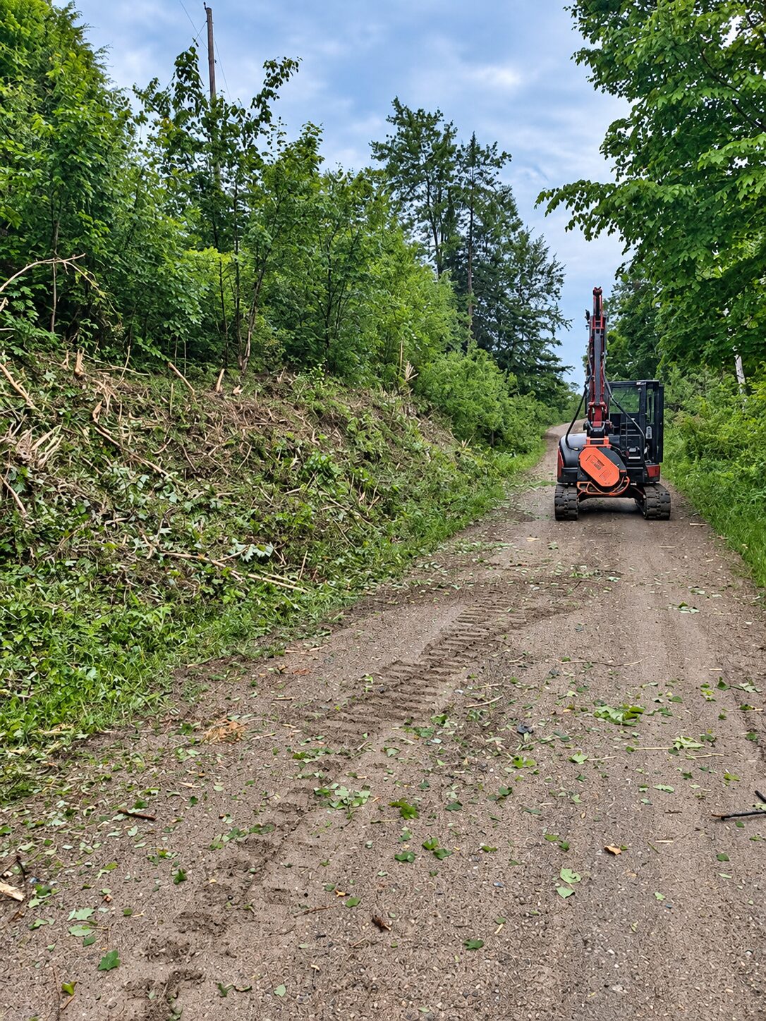 Excavator with mulching head clearing brush along a woodland access road