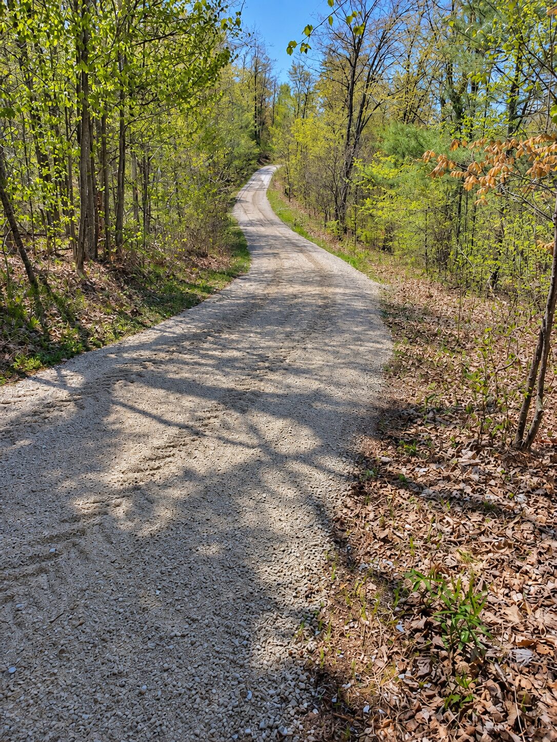 Cottage Road Clearing & Maintenance — image 2