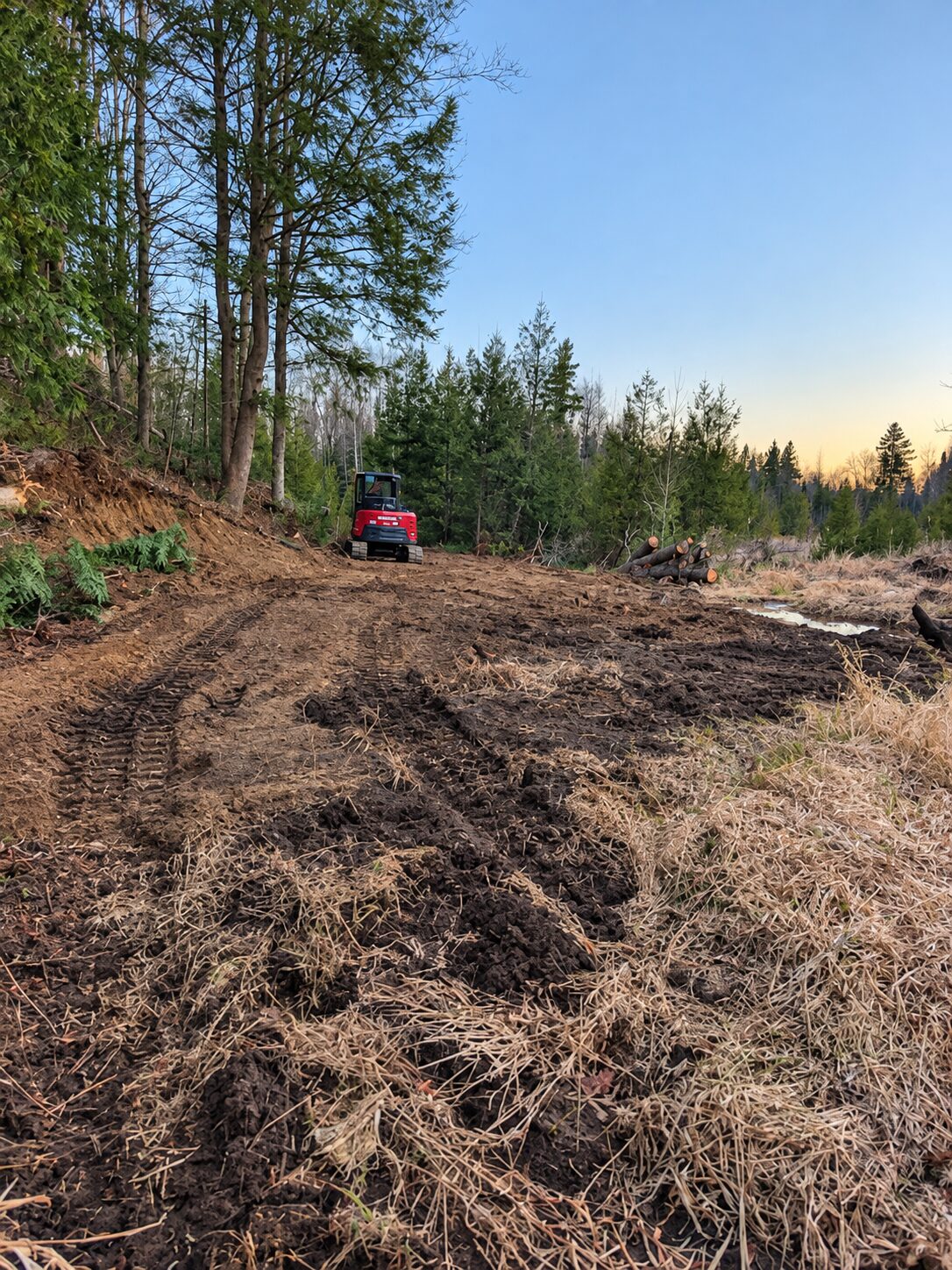 Red excavator clearing brush and small trees in a forest clearing